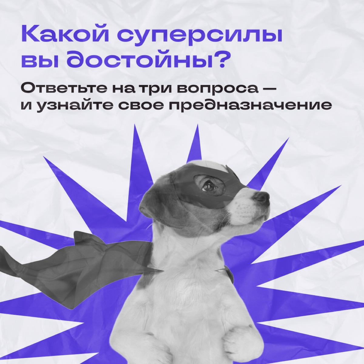 Наши мудрецы со склонов Фудзи разрабатывали этот тест тысячелетиями. И всё для того, чтобы вы узрели свою мощь! | Сетка — социальная сеть от hh.ru