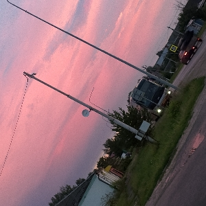 Дарья Гущина