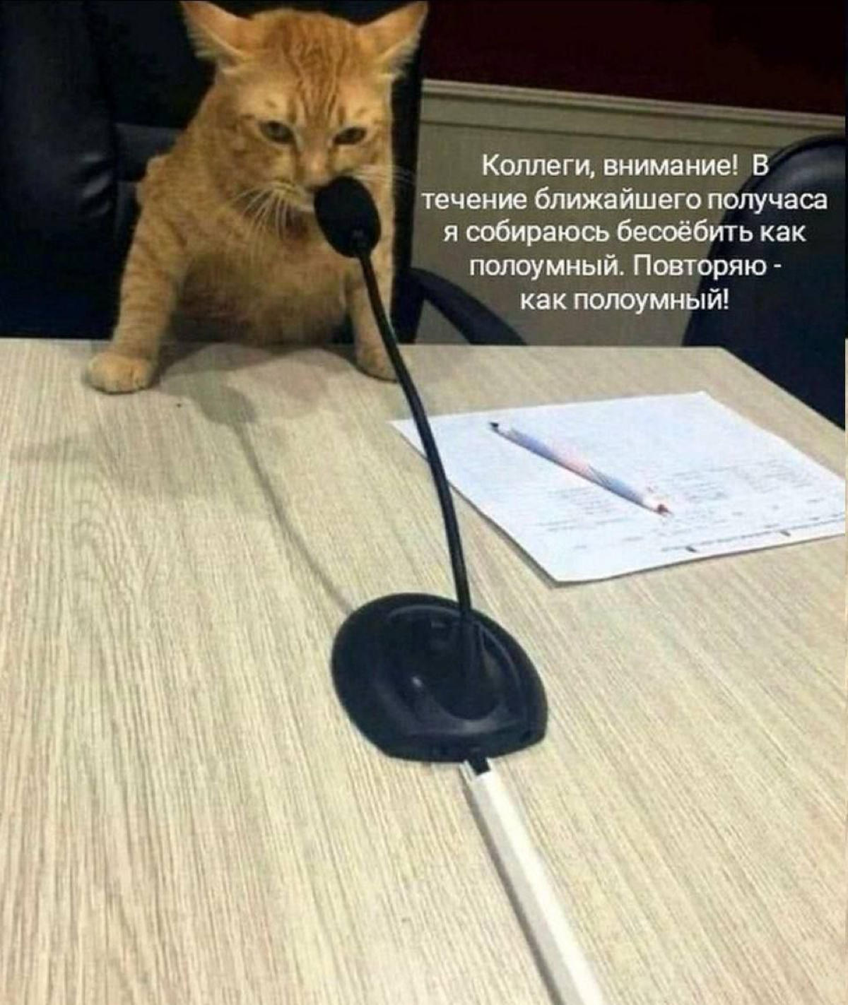 Для активных и продуктивных 👩🏻‍💻Успокаиваемся и ловим дзен 🧘‍♀️
Очень ценю своих коллег на работе, какие бы они не были
И тут встречаю понятие Тайм-менеджмент
Это действительно мастхев и лайфкак , для... | Сетка — социальная сеть от hh.ru
