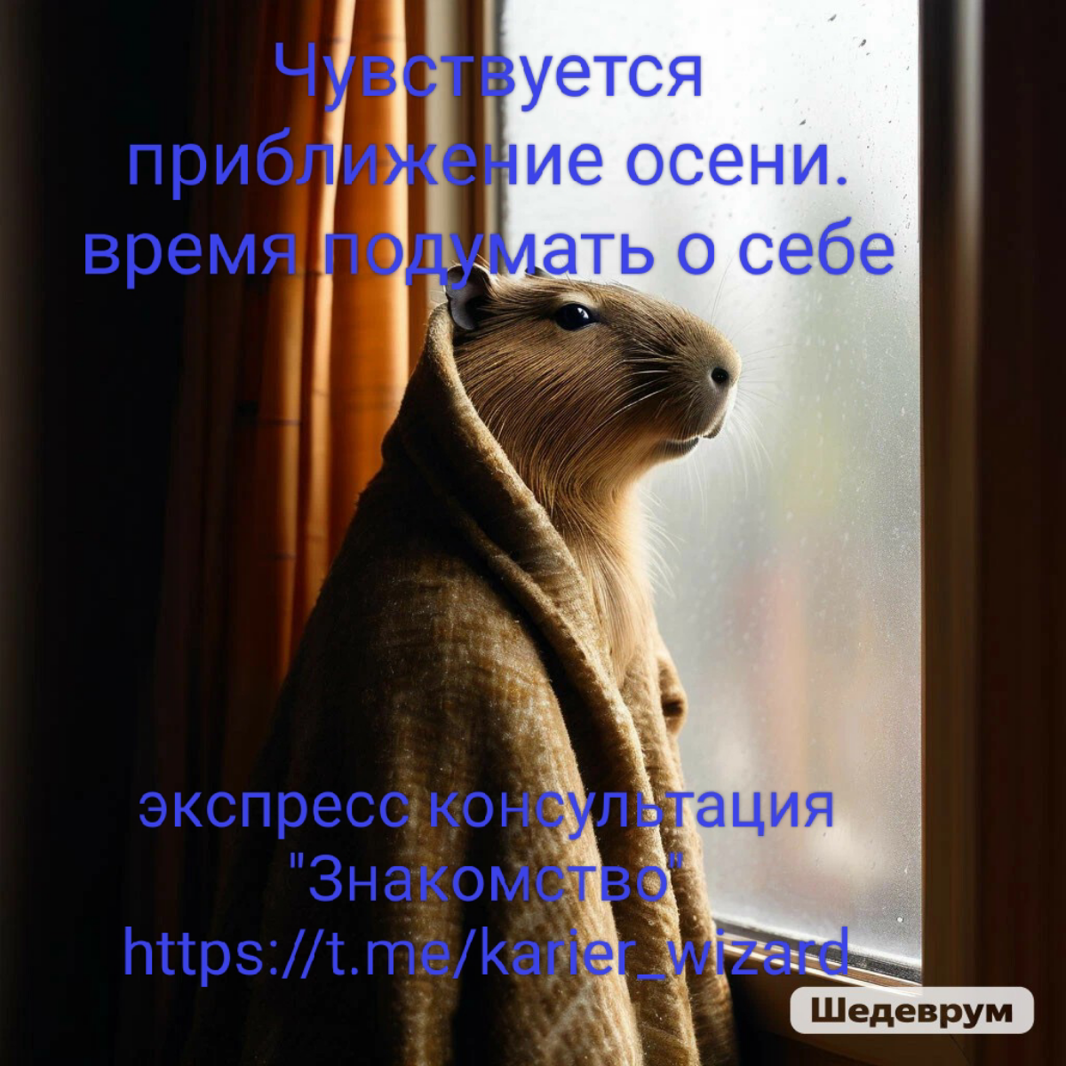 Решила  сделать коллекцию из моих капибар. Эту зверушку я выбрала не случайно. Она талисман выпускников Школы карьерного менеджмента | Сетка — социальная сеть от hh.ru