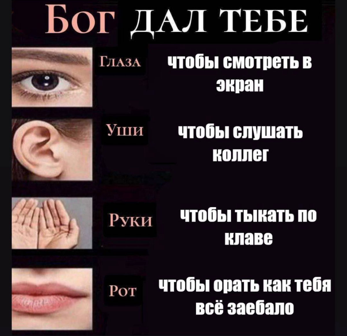 Так вот для чего это все… | Сетка — социальная сеть от hh.ru