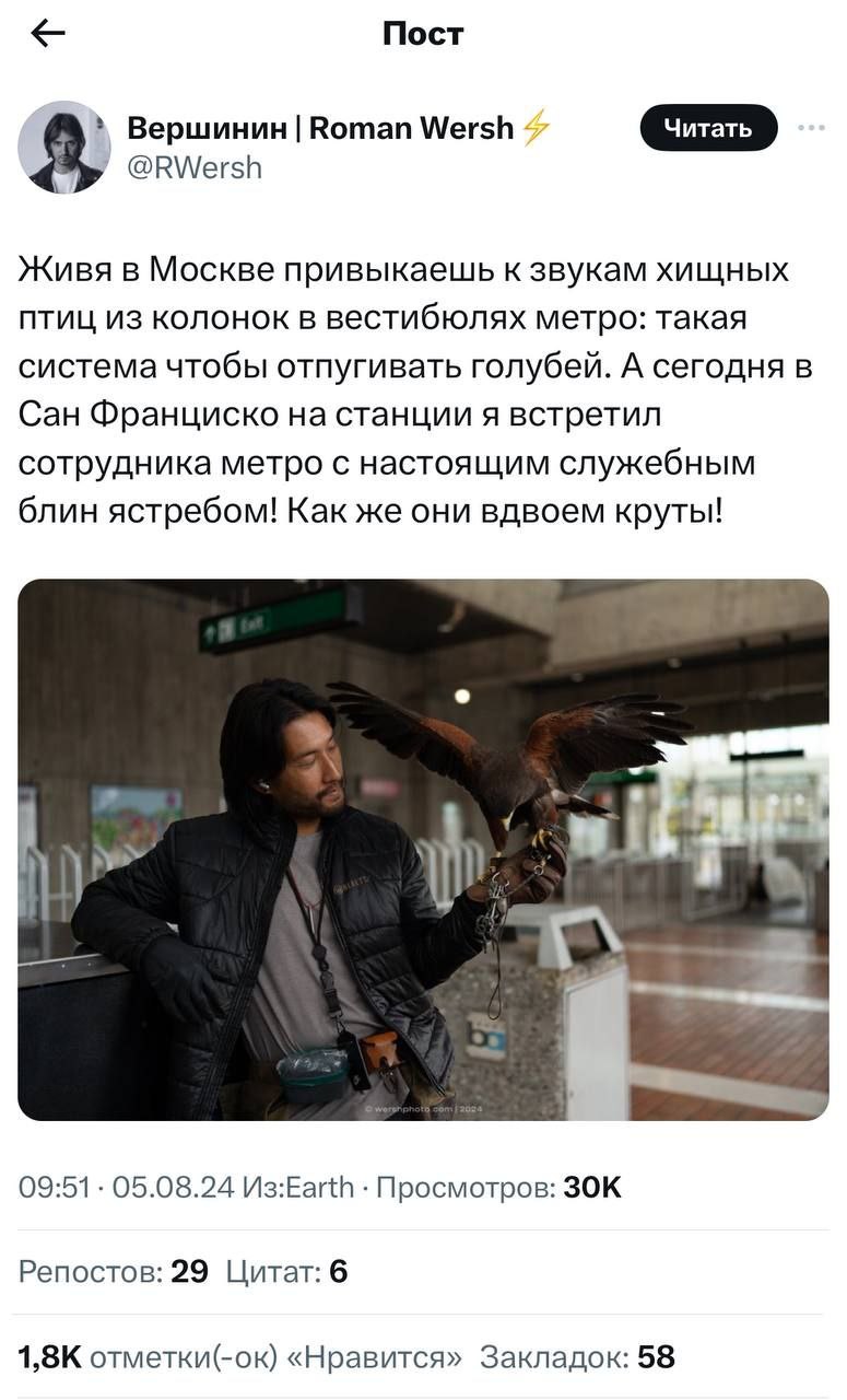 Чувак из Сан-Франциско разблокировал самую эпичную профессию — мужик просто выгуливает своего ястреба на станциях метро и получает за флекс деньги | Сетка — социальная сеть от hh.ru