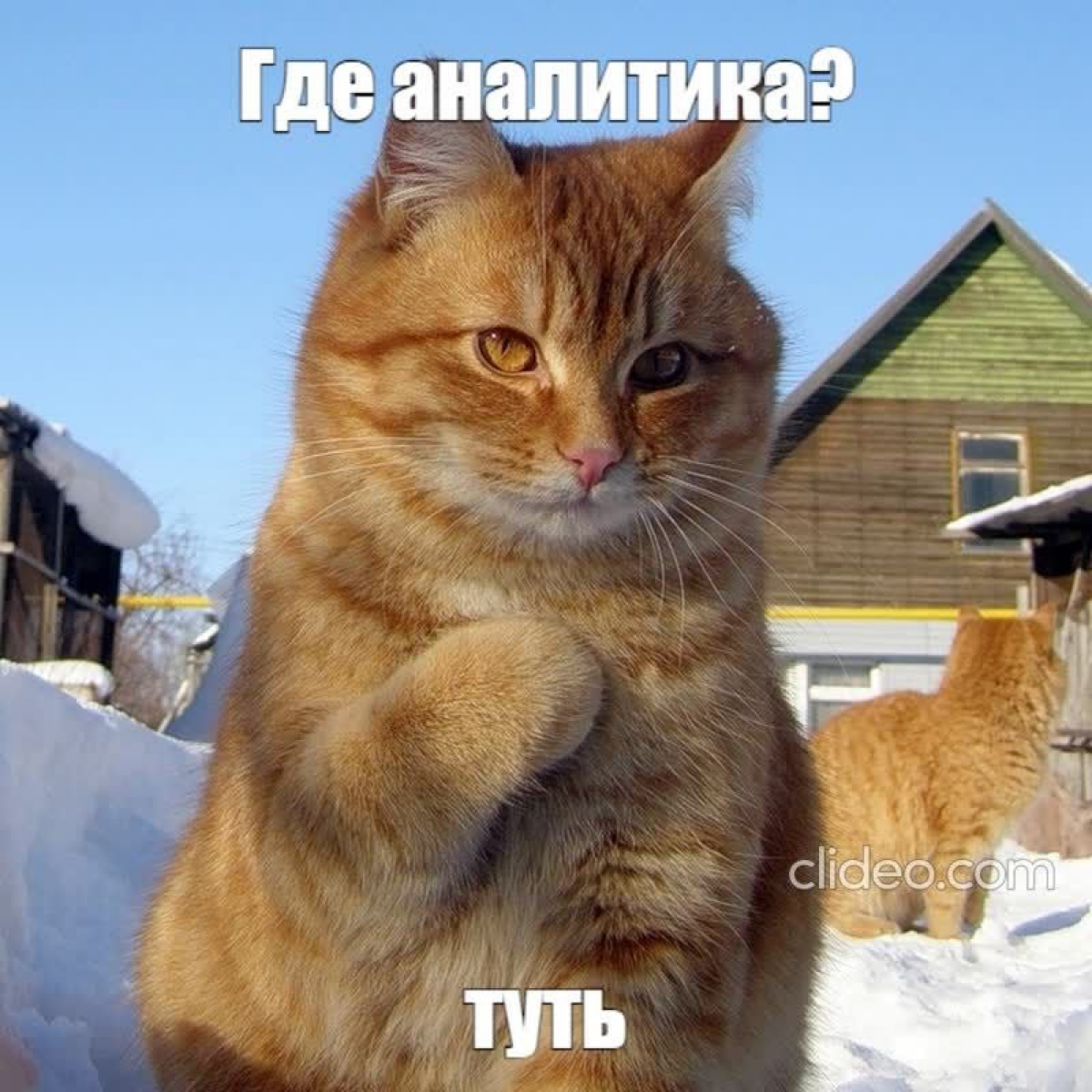#hiring
Привет! В Wildberries сейчас в самом разгаре процесс выстраивания продуктовой аналитики🔥
И наши команды приглашают тебя поучаствовать: выстраивай ключевые метрики, исследуй БД, проводи АБ тест... | Сетка — социальная сеть от hh.ru