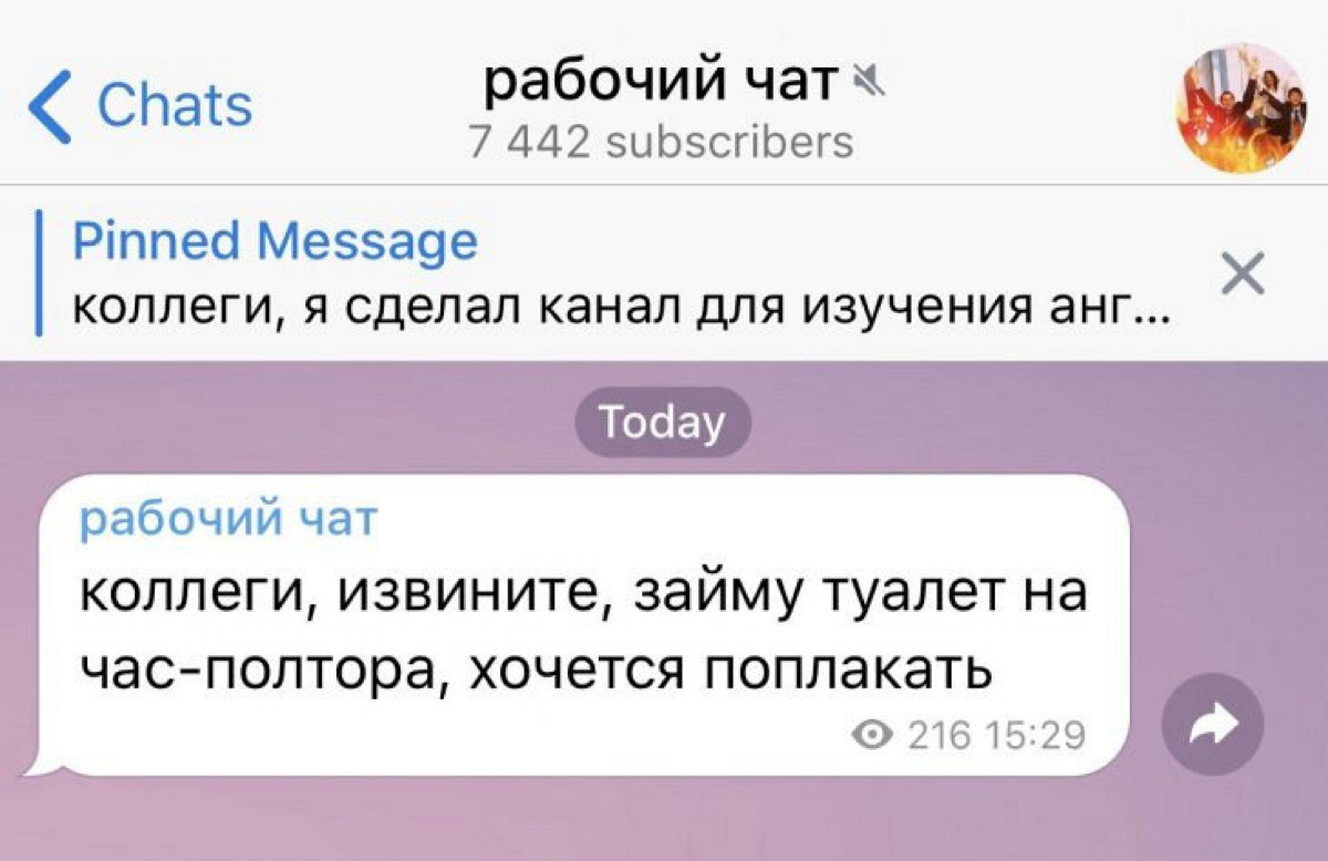 #мемасики | Сетка — социальная сеть от hh.ru