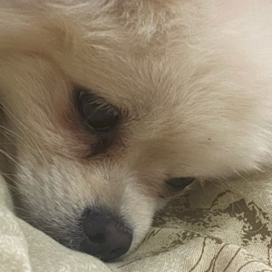 Евгений Исаков