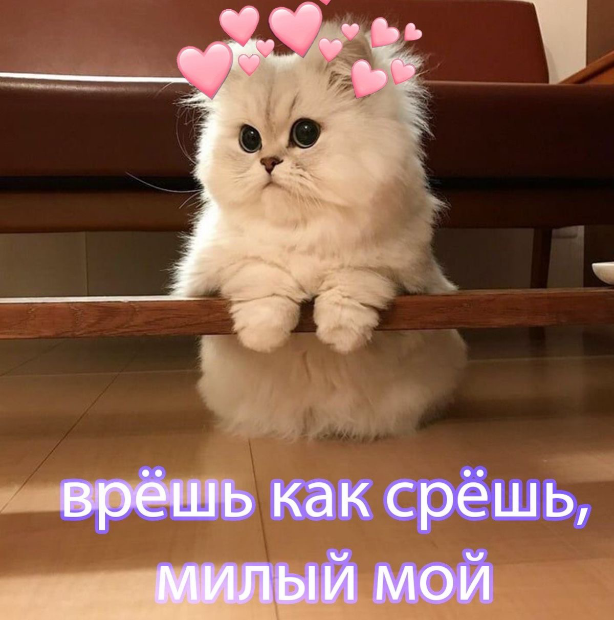 Когда на интерьвью пообещали золотые горы , зп официальная 2 раза в месяц , kpi 💸, официальное трудоустройство , кофемашина! Адекватный коллектив …
А по итогу
Зп , как карта ляжет | Сетка — социальная сеть от hh.ru