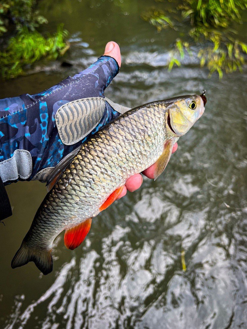 Когда лучше всего ходить на рыбалку?
У каждого рыболова есть своё мнение на этот счёт, и в какой-то степени все они правы | Сетка — социальная сеть от hh.ru