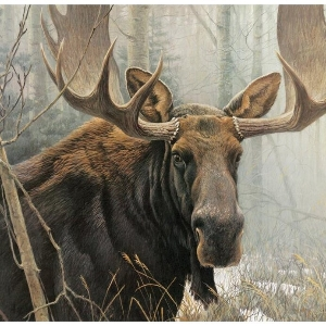 Игор Борисов | Сетка — социальная сеть от hh.ru