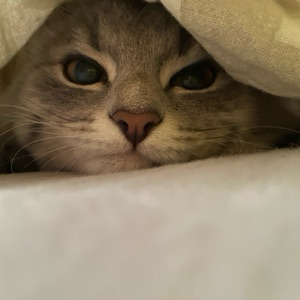 Тима Рудаков