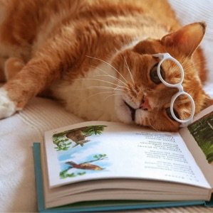 Книжный клуб