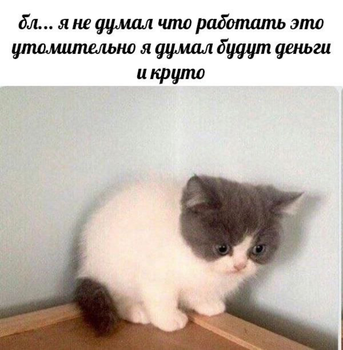 А кто думал?
#мем | Сетка — социальная сеть от hh.ru