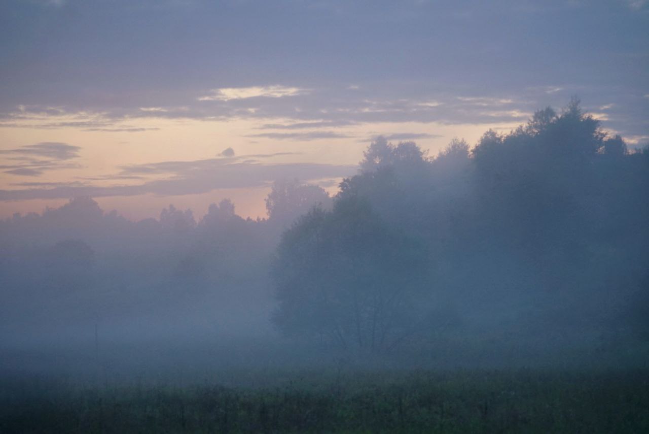 Изумительно красивый закат вчера был!
#фотография #природа #пейзаж | Сетка — социальная сеть от hh.ru