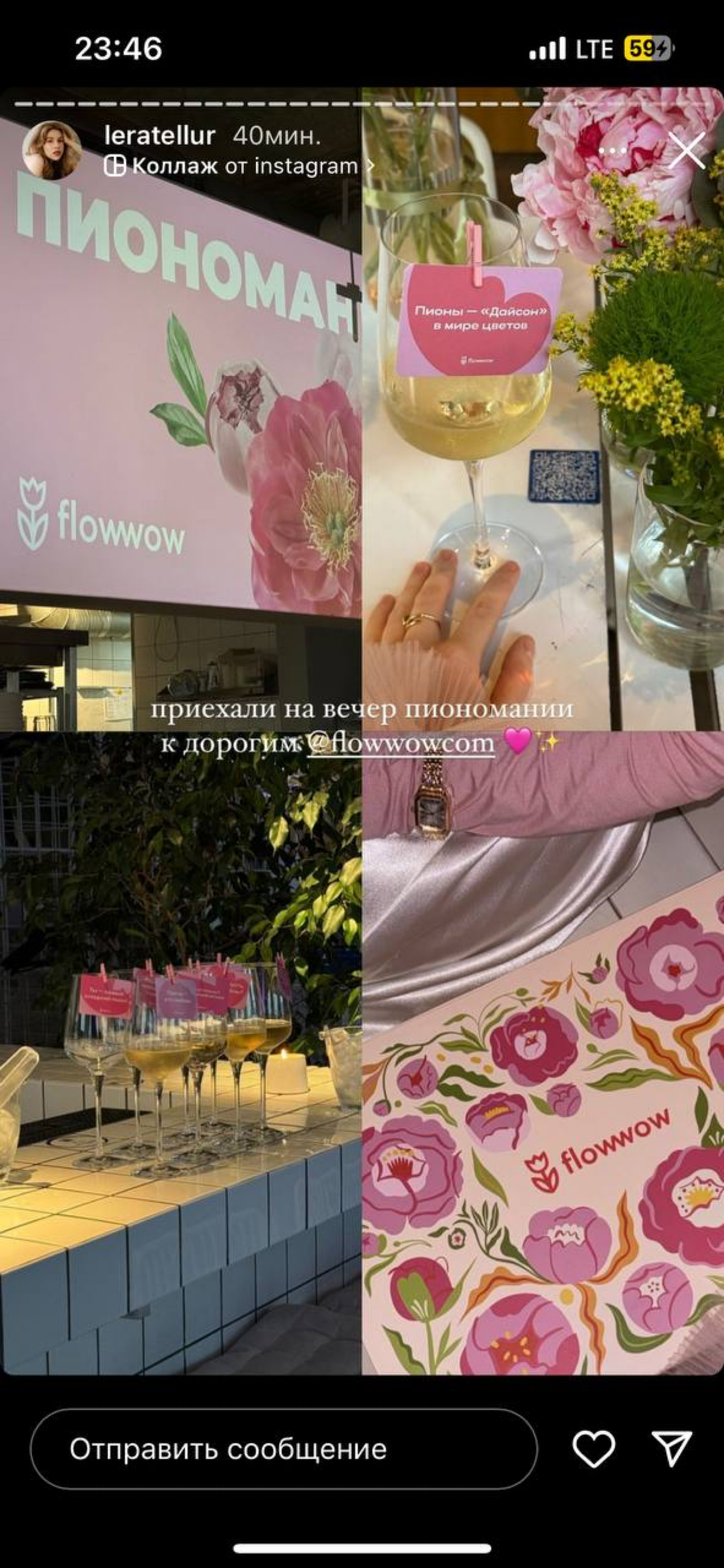Пиономания в Flowwow или мой первый летний спецпроект 🪄 | Сетка — социальная сеть от hh.ru