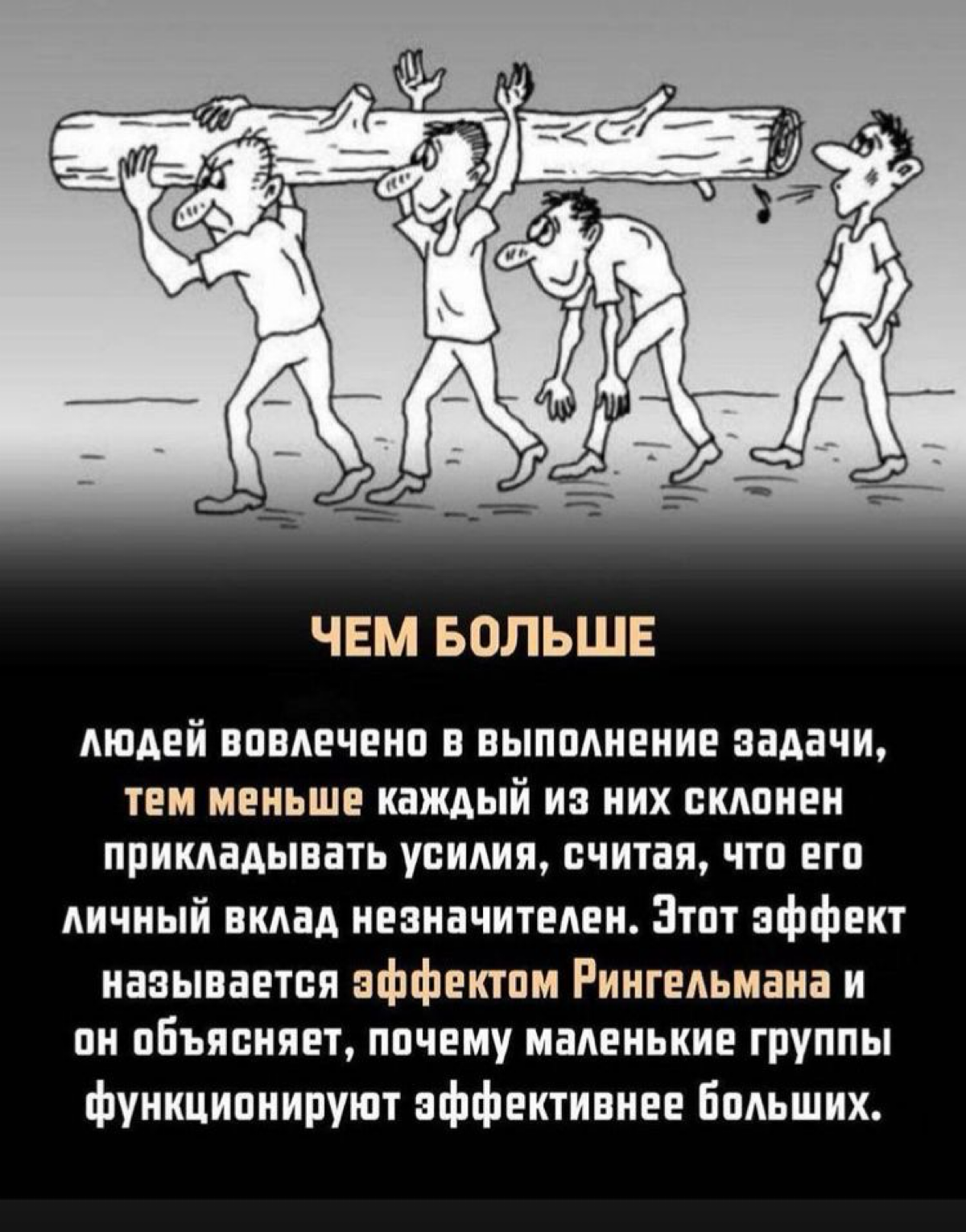 Сетка — социальная сеть от hh.ru