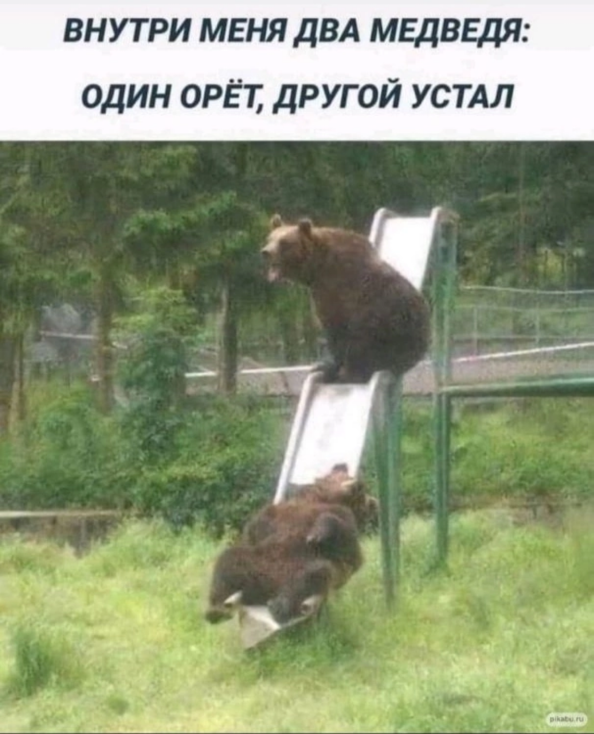 #смехотерапия
#журналопсихологии
#Психология
#конфликтвнутри
Больше полезной и интересной информации в онлайн - журнале «Практическая психология»
https://t | Сетка — социальная сеть от hh.ru