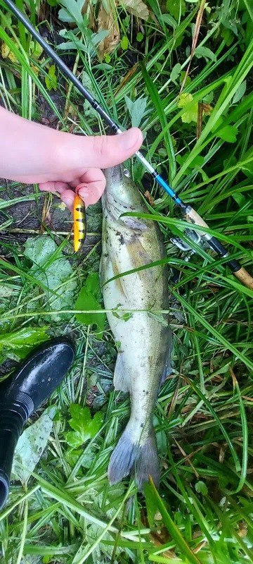 Лидер по числу отзывов среди приманок Rapala в нашем магазине — блесна колебалка незацепляйка Minnow Spoon | Сетка — социальная сеть от hh.ru