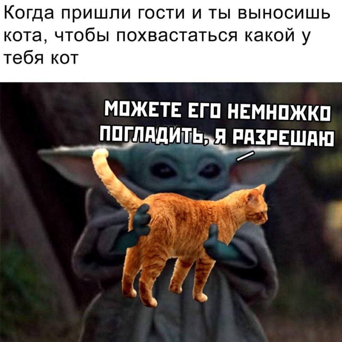 Про вчерашний онлайн-нетворкинг | Сетка — социальная сеть от hh.ru