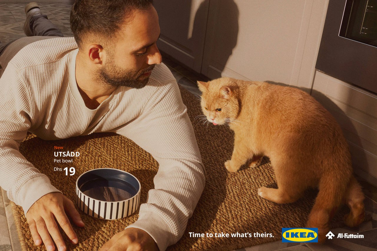 IKEA вновь радует милой рекламной кампанией коллекции товаров для животных.
Зачастую питомцы забирают себе вещи людей, например, спят на их подушках и креслах | Сетка — социальная сеть от hh.ru