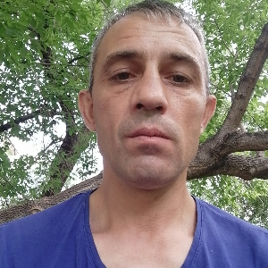 Владимир Новиков