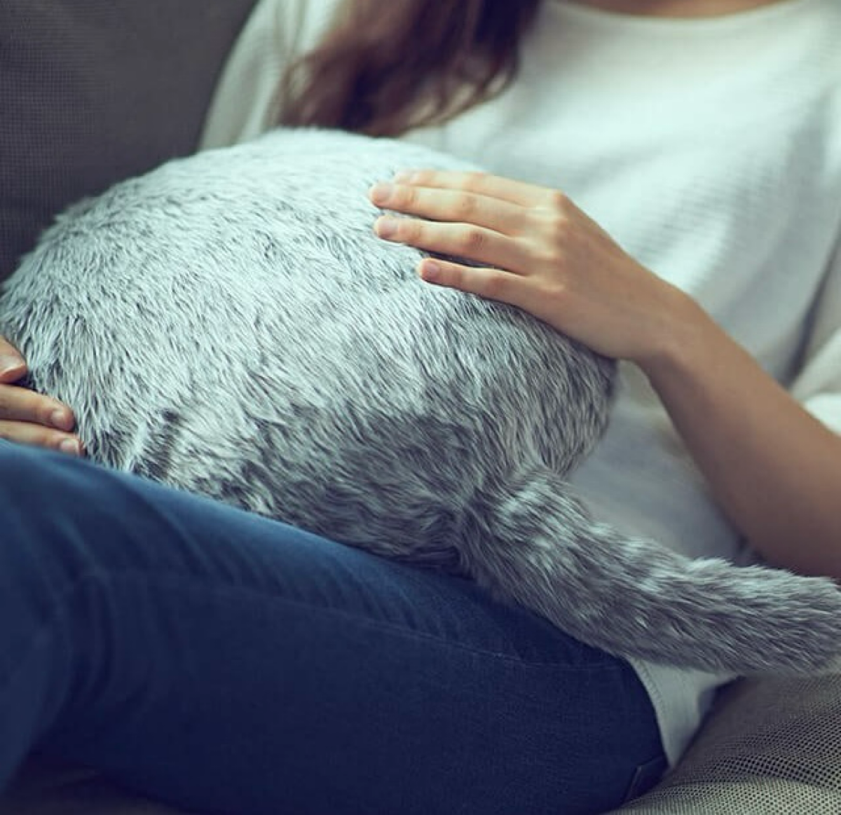 Домашняя кошка – это ласковое мурчание, гладкий мех, лучший способ успокоить нервы после трудного рабочего дня | Сетка — социальная сеть от hh.ru