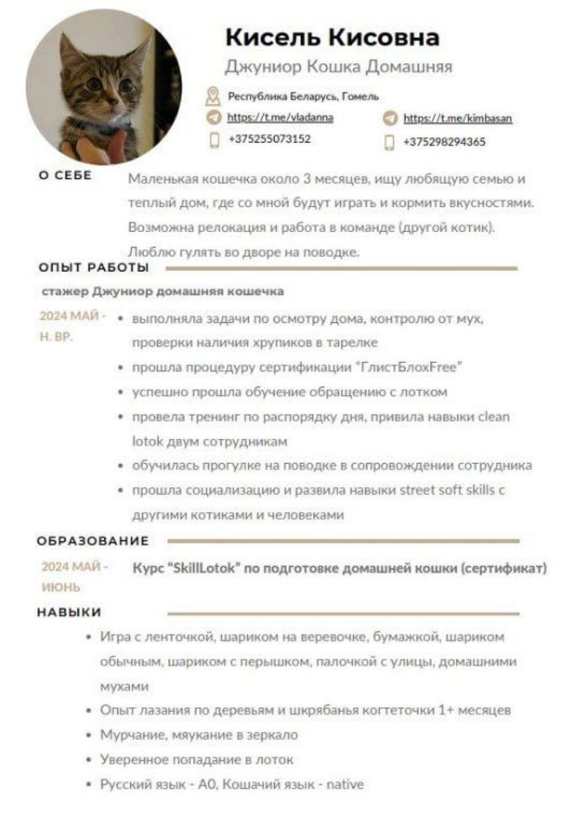 #Мем
Сетка - HR Мемы by RFF
Telegram - HR Мемы | Сетка — социальная сеть от hh.ru