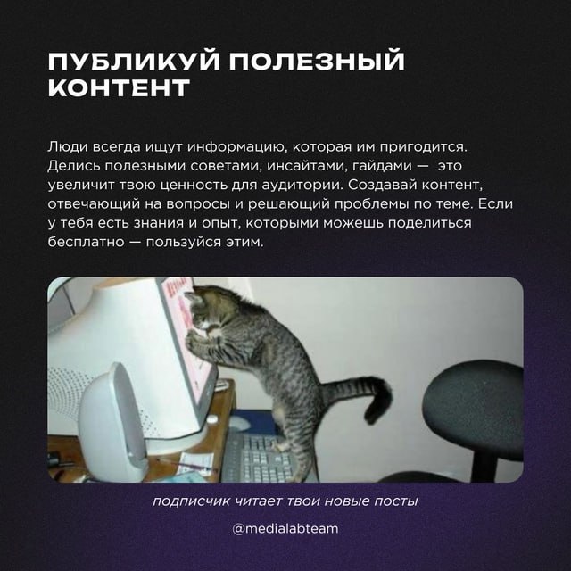 💸 В наше время маркетинг без вложений — это не мечта, а суровая необходимость | Сетка — социальная сеть от hh.ru