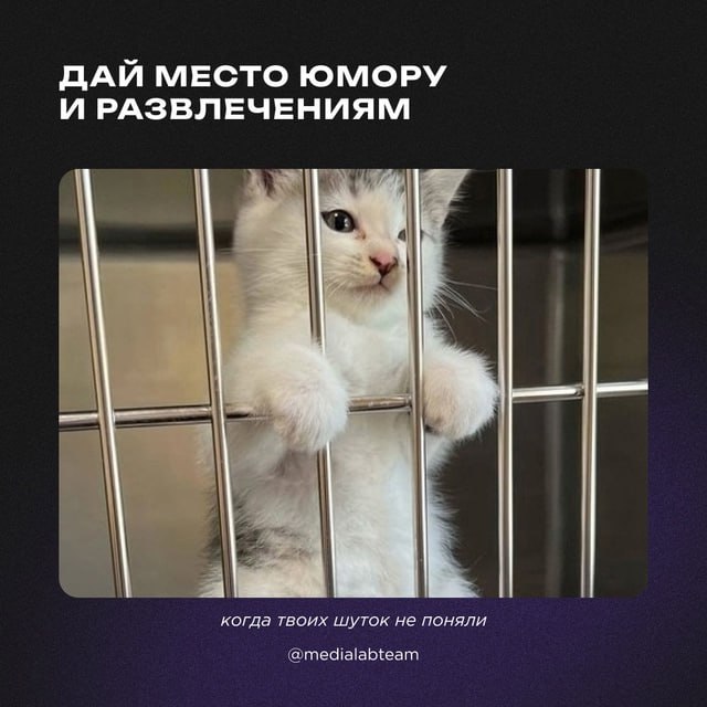 💸 В наше время маркетинг без вложений — это не мечта, а суровая необходимость | Сетка — социальная сеть от hh.ru