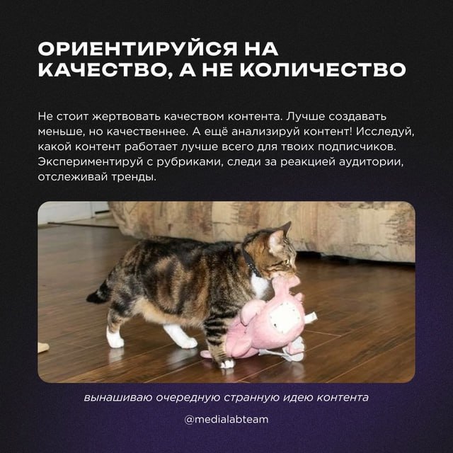 💸 В наше время маркетинг без вложений — это не мечта, а суровая необходимость | Сетка — социальная сеть от hh.ru