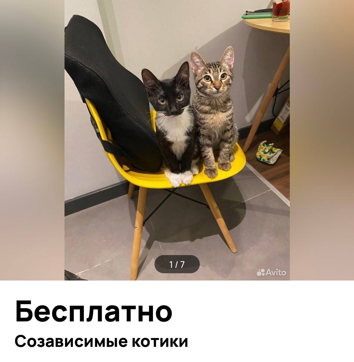 На Авито нашли тех самых коллег, которых никогда не встретить по-отдельности.
Вы знаете, кому это отправить.
🍕зумеры любят пиццу? | Сетка — социальная сеть от hh.ru