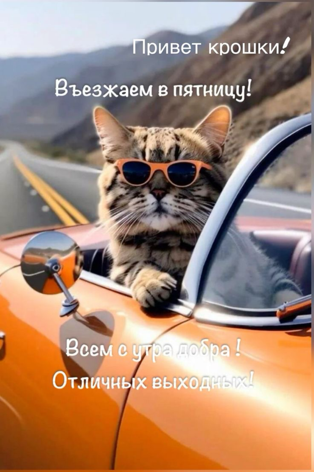 И не важно, что уже вечер ! Настроение ❤️‍🔥 | Сетка — социальная сеть от hh.ru