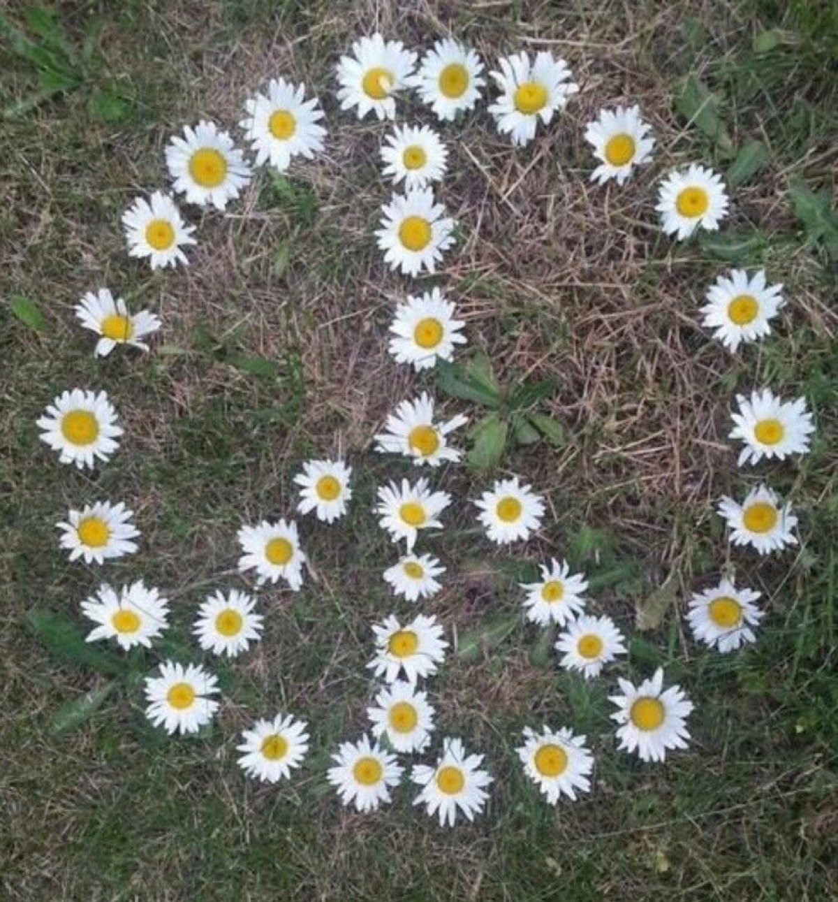 Мир ☮️
💚 https://t.me/zestforlive
#жаждажизни | Сетка — социальная сеть от hh.ru