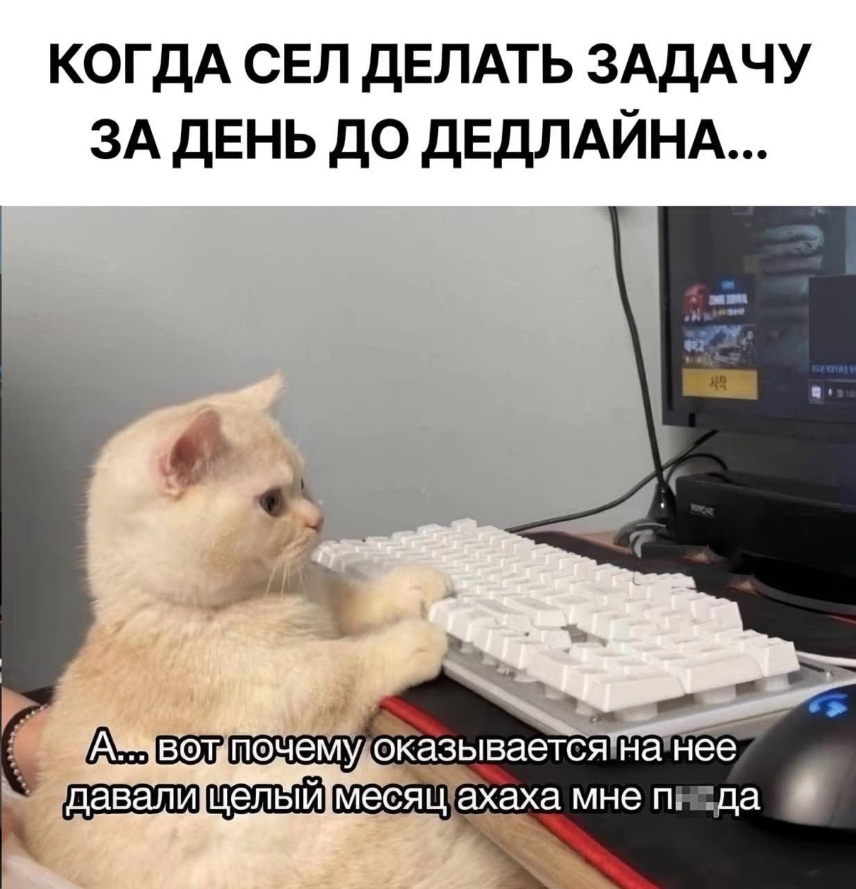 Что у нас по пятницам?
Все правильно – мемы 🙃
Скидывайте свои мемы, в комментарии 🙏
#мемы | Сетка — социальная сеть от hh.ru
