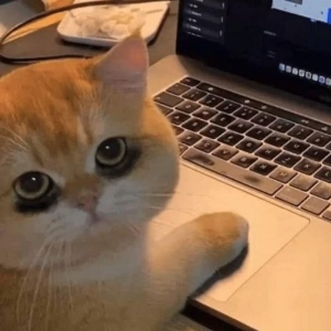 Анастасия Шмакова | Сетка — социальная сеть от hh.ru