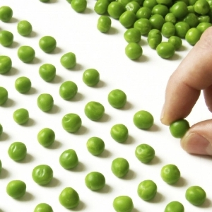 Рай перфекциониста