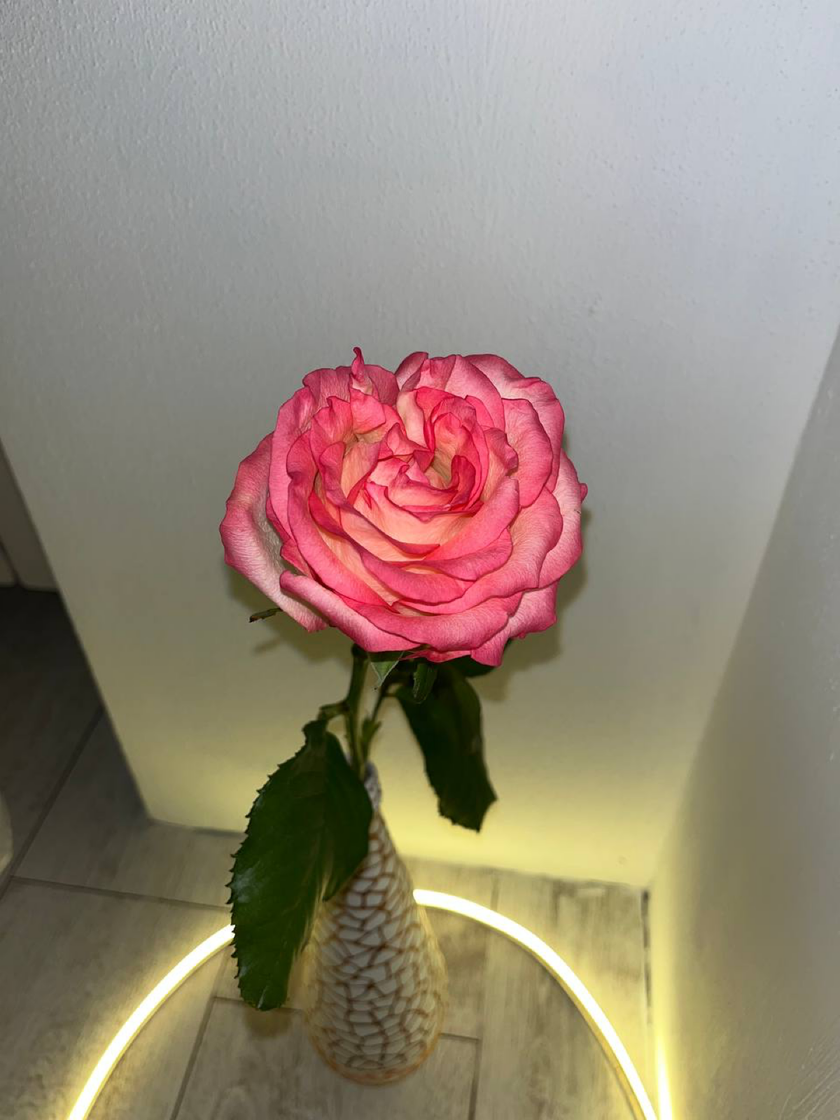 — Ты можешь себе доверять 💗 | Сетка — социальная сеть от hh.ru