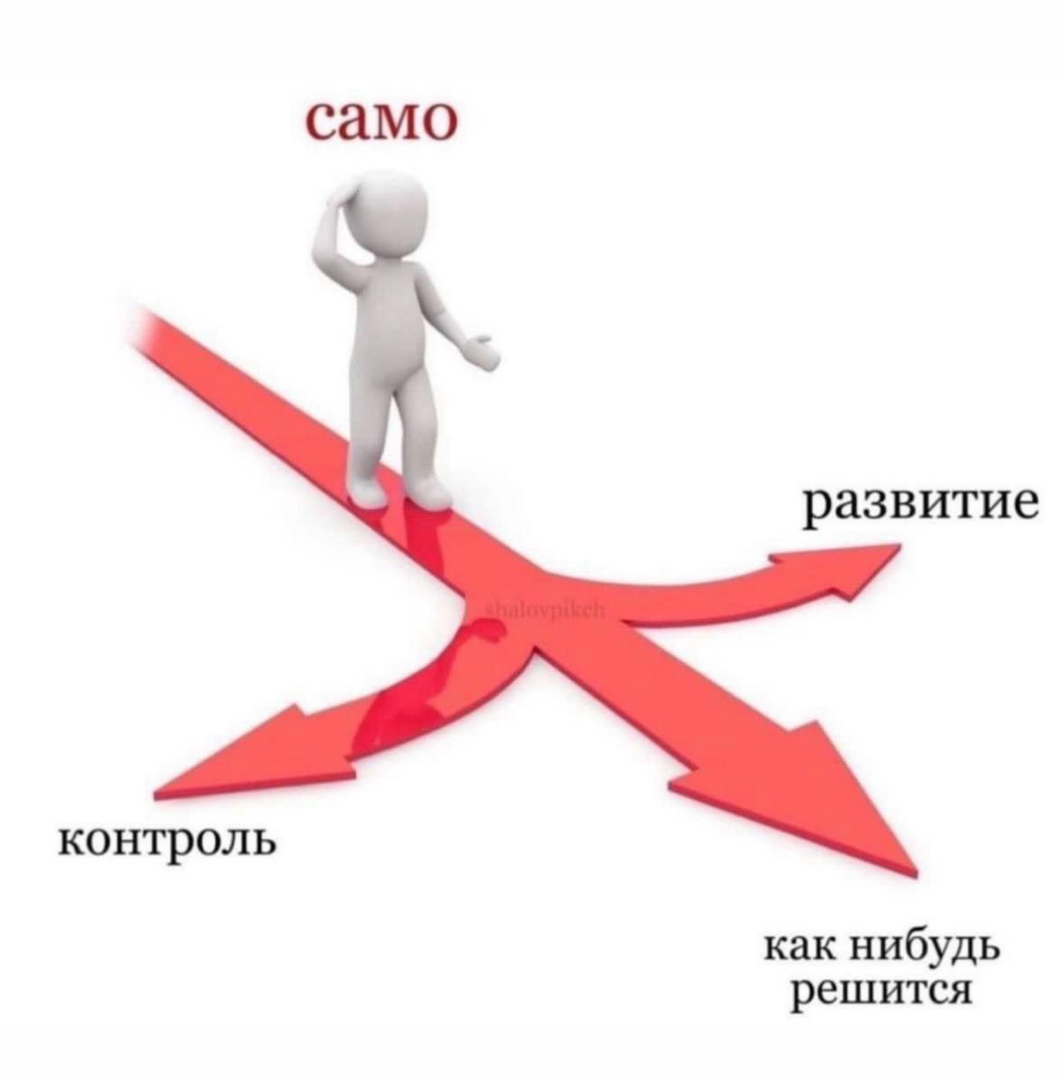 Почему некомпетентное руководство приводит к гибели компании | Сетка — социальная сеть от hh.ru