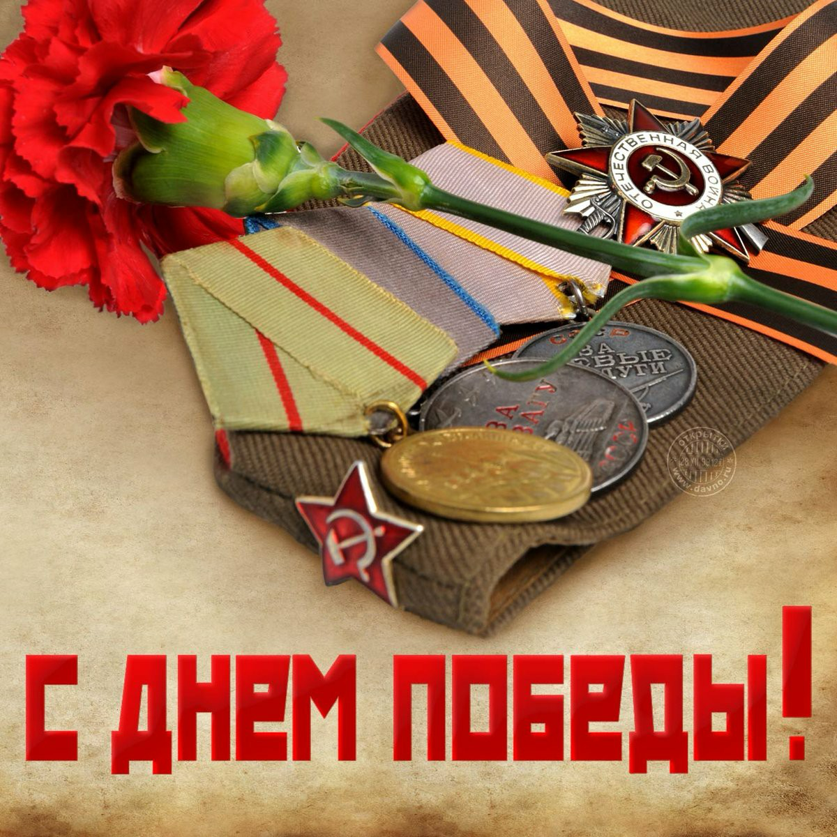 Дмитрий Соломатин