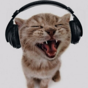 Александр Григорьев | Сетка — социальная сеть от hh.ru