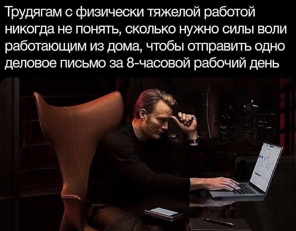 Кто трудяга, ставьте лайк | Сетка — социальная сеть от hh.ru