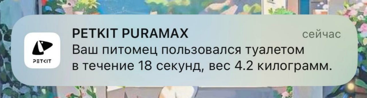 pov: вы купили своему коту кошачий киберунитаз | Сетка — социальная сеть от hh.ru