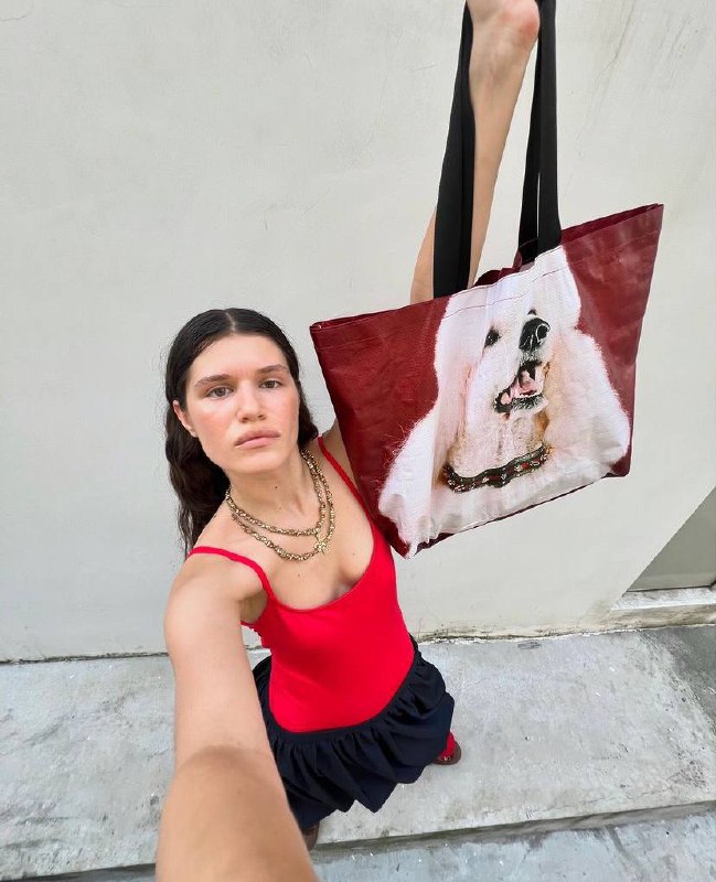 Balenciaga, подвинься: отечественная мастерица основала бренд Dulsicarry и выпускает сумки-пакеты с крутыми собаками и уткой за 3 тысячи рублей каждая | Сетка — социальная сеть от hh.ru