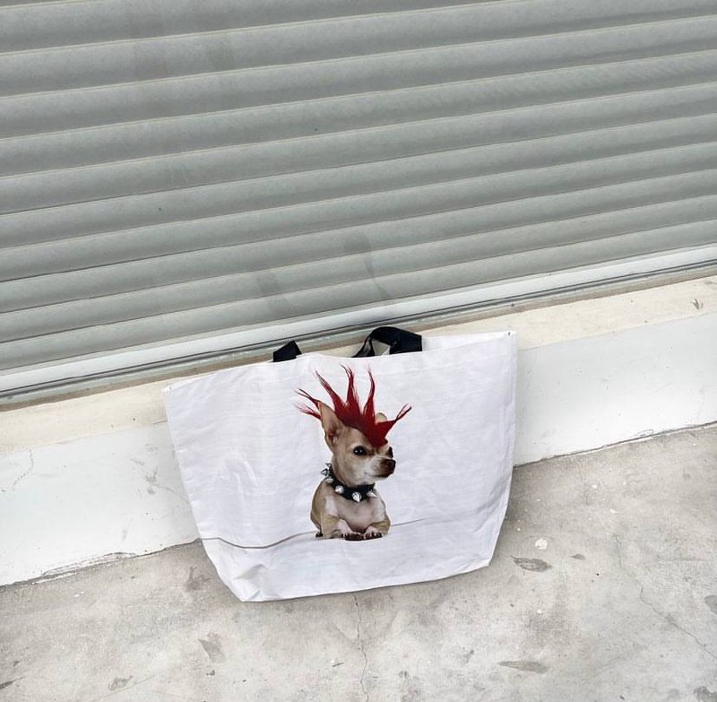 Balenciaga, подвинься: отечественная мастерица основала бренд Dulsicarry и выпускает сумки-пакеты с крутыми собаками и уткой за 3 тысячи рублей каждая | Сетка — социальная сеть от hh.ru