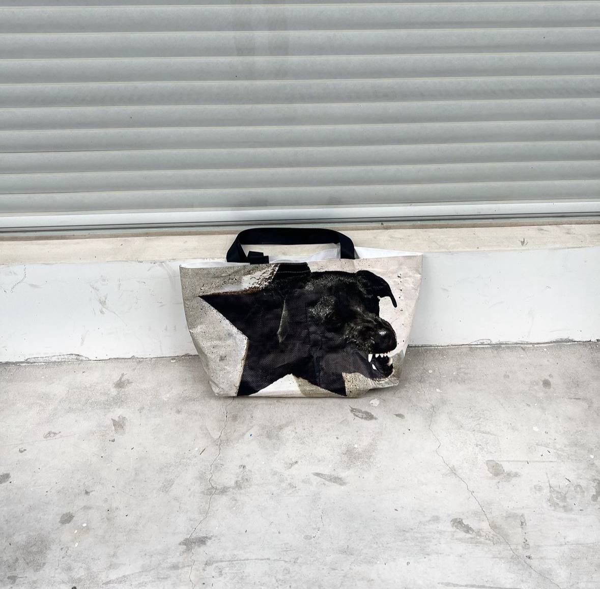 Balenciaga, подвинься: отечественная мастерица основала бренд Dulsicarry и выпускает сумки-пакеты с крутыми собаками и уткой за 3 тысячи рублей каждая | Сетка — социальная сеть от hh.ru