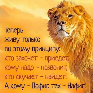 Владимир Доллар