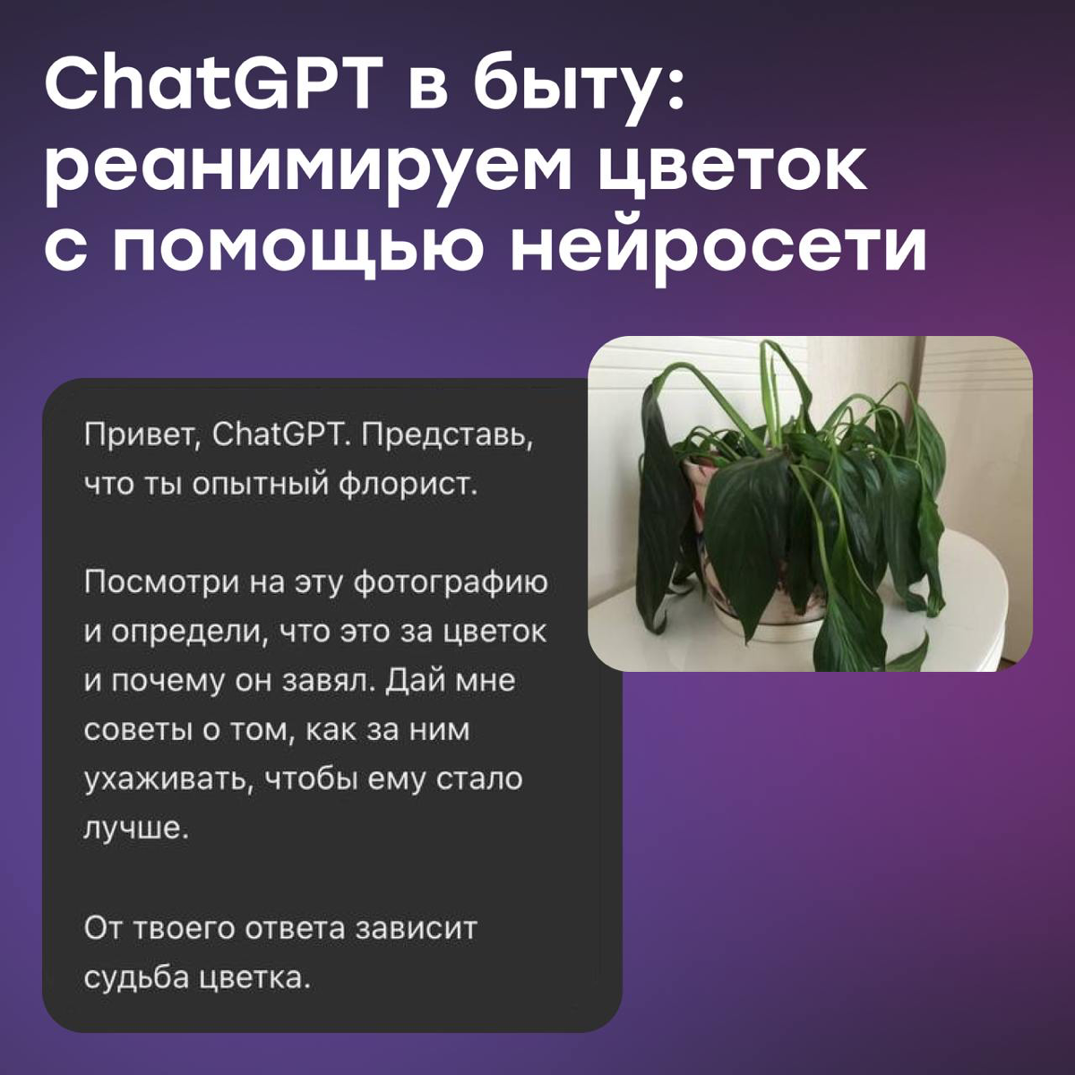 ChatGPT в быту: реанимируем цветок | Сетка — социальная сеть от hh.ru