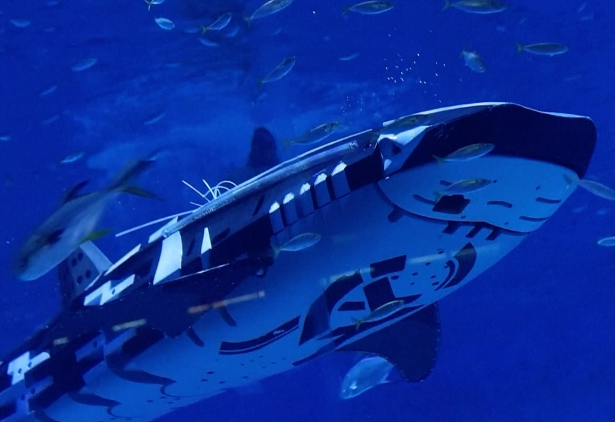 ⚡️Первая в мире интеллектуальная роботизированная китовая акула 🦈
Первая в мире интеллектуальная роботизированная китовая акула была представлена китайской компанией Shenyang Aerospace Xinguang Group | Сетка — социальная сеть от hh.ru