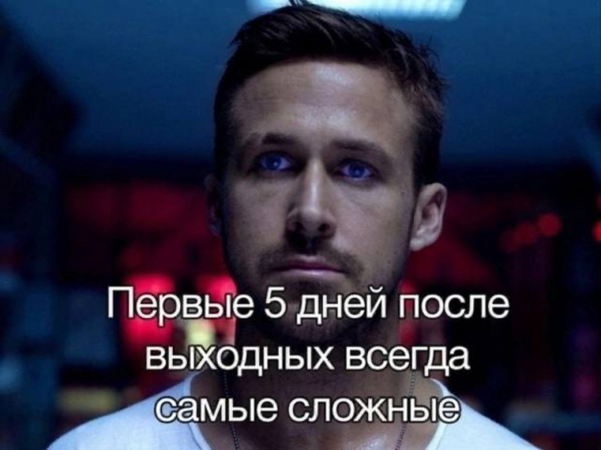 коллеги, нужно потерпеть всего 5 деньков | Сетка — социальная сеть от hh.ru