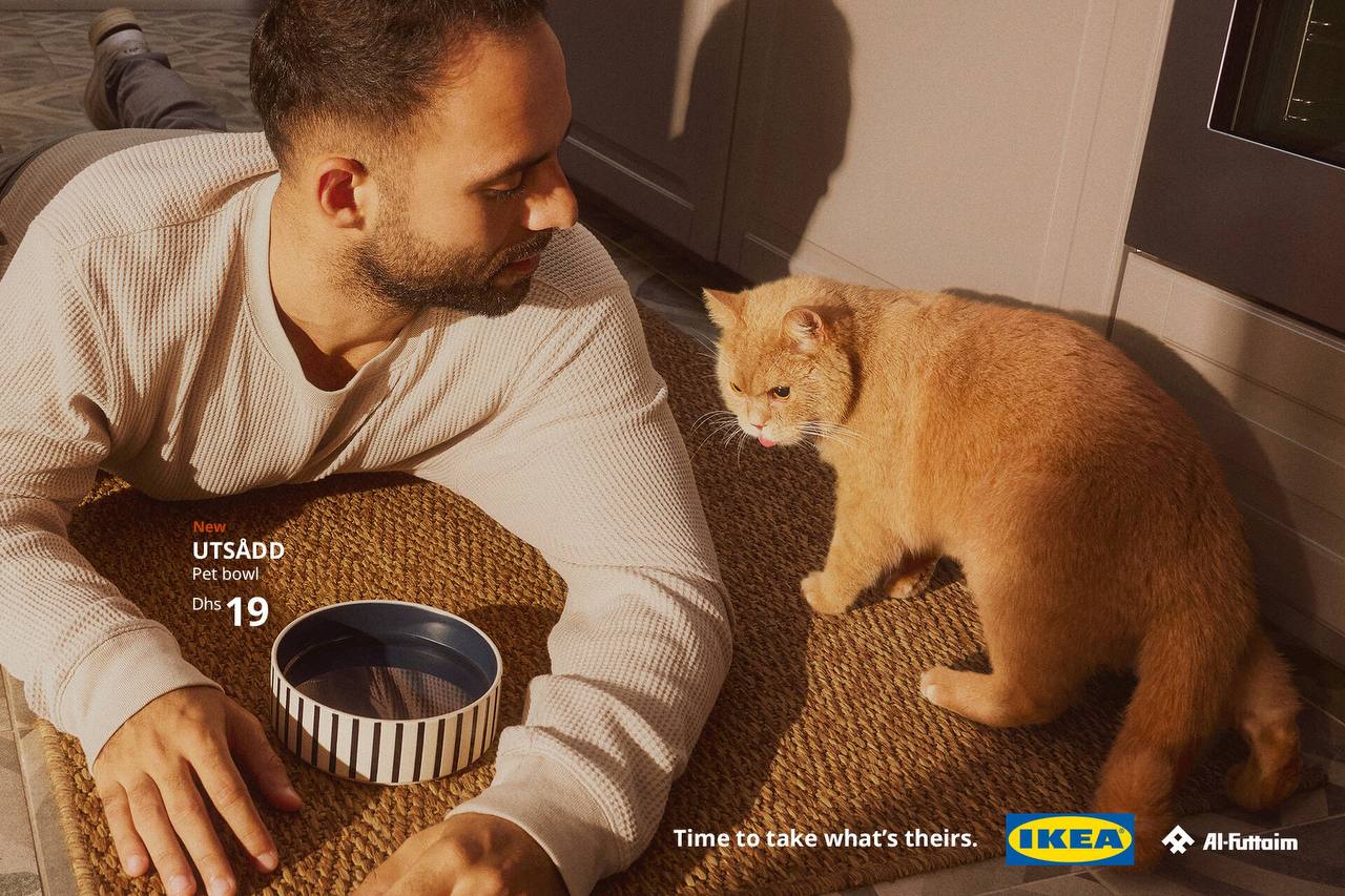 Странно, что это произошло только сейчас. IKEA выпустила свою первую коллекцию мебели для домашних животных. Для анонса новой линейки они сделали очень смешной визуал | Сетка — социальная сеть от hh.ru