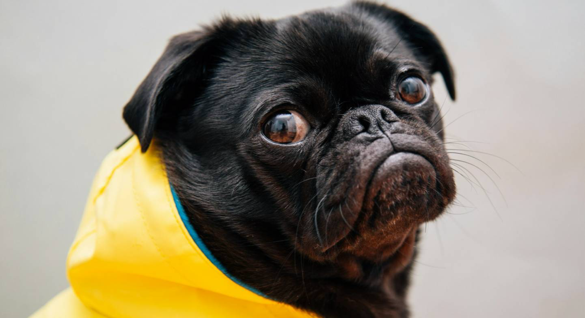 Организаторы одного исследования попросили почти 250 людей рассказать, что из того, что есть у них, можно улучшить. Говорить можно было о чем угодно — о телефоне, домашних питомцах или отношениях | Сетка — социальная сеть от hh.ru